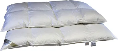 Produktbild von Betten Hofmann Eiszeit Premium 10 cm Winter Hochsteg Daunendecke Daunenbett 4x6 155x220 cm