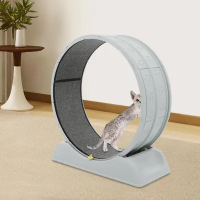 Produktbild von Katzen Laufrad - Haustier Laufband - Sehr leise - Sicherheitsverschluss - Abnehmbare Teppich-Lauffläche - Manuell ohne Strom - Kunststoff - Grau