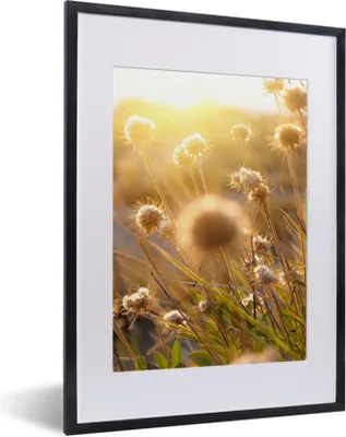 Produktbild von MuchoWow® Gerahmtes Poster Pflanzen - Natur - Blumen - Sonne - Horizont 30x40 cm - Poster mit Schwarzem Bilderrahmen Wandposter Rahmen Foto Bilder - Wandposter Schlafzimmer