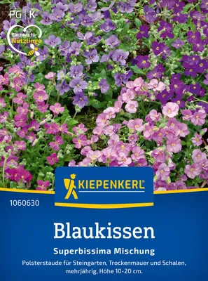 Produktbild von Kiepenkerl Blaukissensamen Superbissima 50 Pflanzen