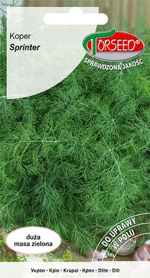 Produktbild von Dill Sprinter 5g Samen - Torseed