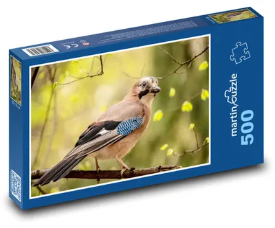 Obrázok produktu pre martinpuzzle – Puzzle 500 – Vtácik (alebo: Vtácik, 500 dielikov)