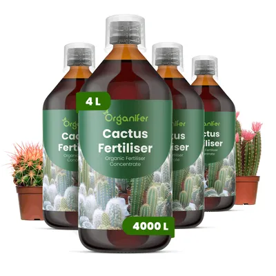 Produktbild von Kakteen Flüssigdünger 4x1L – 2-1-8 NPK – Flüssigdünger Für Sukkulenten & Kakteen – Für Wurzeln & Kräftige Pflanzen – Organifer