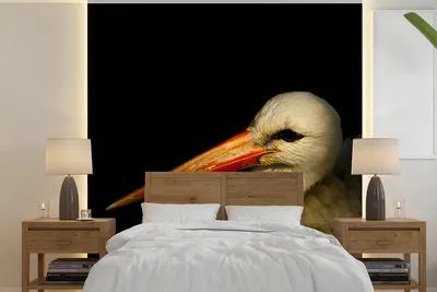 Produktbild von MuchoWow® Fototapete für Wohnzimmer oder Schlafzimmer Wandtapete Vinyl Motivtapete Vogel - Schnabel - Federn - 300x300 cm - Wanddekoration