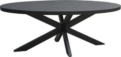 Produktbild von Esstisch Kala Oval aus Mangoholz 210*100cm - Schwarz
