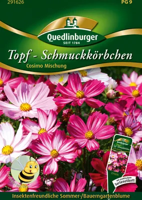Produktbild von Topf-Schmuckkörbchen Cosmio | Cosmeasamen von Quedlinburger