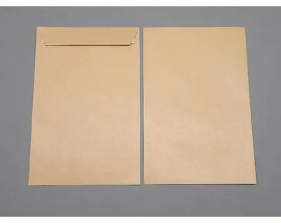 Produktbild von Versandtaschen 254x381mm 115g/qm haftklebend VE=250 Stück braun