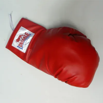 Obrázek produktu pro Autogram rukavice Lonsdale GIANT LONSDALE Red one size Lonsdale