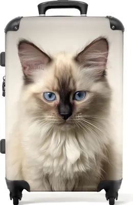 Produktbild von NoBoringSuitcases.com® Großer Koffer - Katze - Tiere - Ragdoll - Katze - Kombinationsschloss TSA - Hartschalen Trolley 4 Rollen - 72 liter - Reisekoffer - 66 cmKoffer Mittelgroß 67x43x25 cm, 72L,
