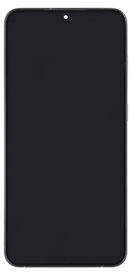 Produktbild von Samsung Galaxy S24 Plus Display Schwarz - Set