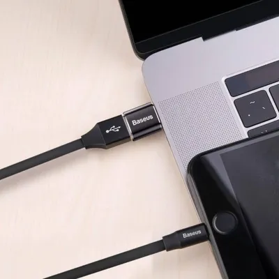 Image de Baseus ABMU24ABK câble changeur de genre microUSB Type-C Noir, Argent