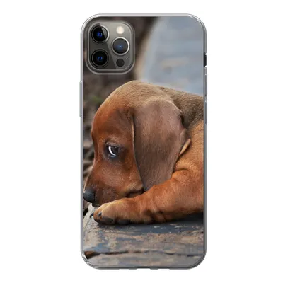 Produktbild von MuchoWow® Handyhülle Schutzhülle Hülle für iPhone 13 Pro Max Dackelwelpe liegt am Rande des Bürgersteigs Silikon Softcase Handy Hülle - Mobiltelefon