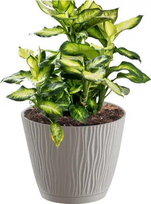 Obrázok produktu pre Kvetináč Plastový 17 Cm Sandy P - Mocca