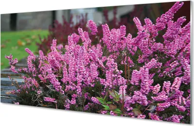 Produktbild von Glasbilder 140x70 Wandkunst heathers