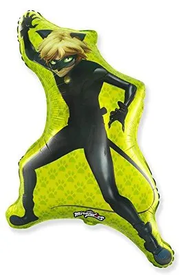 Produktbild von Ballonim® Cat Noir Figur 75 cm