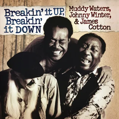 Zdjęcie produktu dla Muddy Waters - Breakin It Up Breakin It Down (Translucent Gold Coloured) (2 LP)
