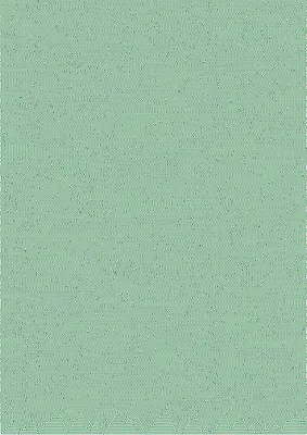 Immagine prodotto di BRUNNEN carta universale A4 80g verde scuro 50 fogli 105125059
