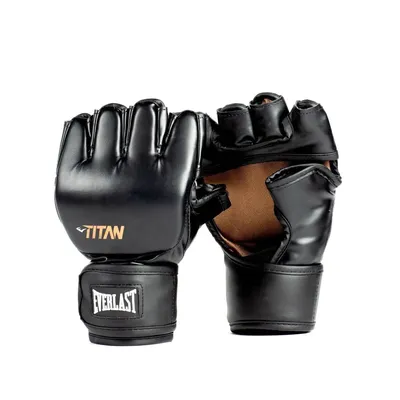 Produktbild von Everlast Titan Mma Glove Black