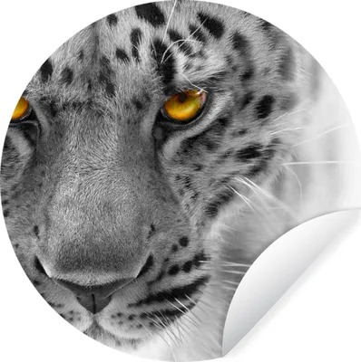 Produktbild von MuchoWow® Runde Wandtattoo - Wandsticker Tapete Aufkleber Leopard - Augen - Schwarz - Weiß Ø 30 cm Selbstklebend und Repositionierbar - Wandaufkleber - Kreis - Wandbild - Fototapete - Selbstklebend - Dekoration - Wandschmuck - Schlafzimmer