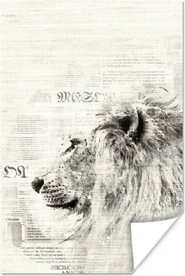 Produktbild von MuchoWow® Poster Zeitung - Löwe - Schwarz - Weiß 80x120 cm - Papierdruck