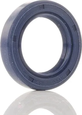 Produktbild von REINZ Nockenwellendichtung 81-53224-00 stirnseitig für HONDA CIVIC VII Hatchback (EU, EP, EV) 8mm NBR (Nitril-Butadien-Kautschuk) 29mm 45mm