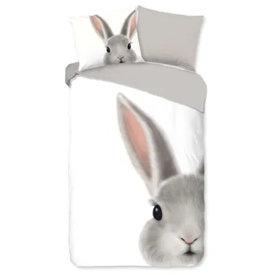 Produktbild von Good Morning Kinder-Bettwäsche-Set ROGER 140x200/220 cm Weiß