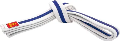 Produktbild von Hayashi Budogürtel zweifarbig weiß/blau/weiß 220