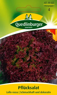 Produktbild von Pflücksalat 'Lollo rossa' Quedlinburger Salatsamen