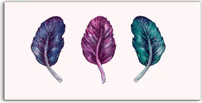 Produktbild von Coloray Acrylbild 120x60  Wandbild Acrylbilder Kunstdruck Malarei Aquarell Vogel federn