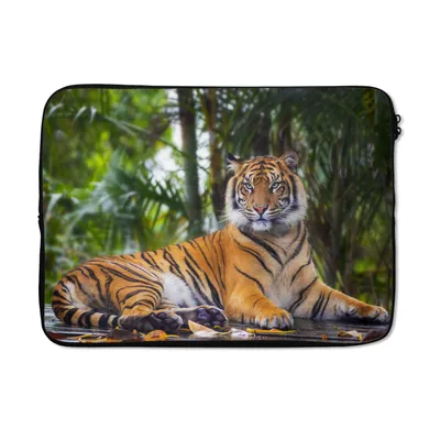 Produktbild von MuchoWow® Laptop Hülle 14 ZollTiger - Tiere - Wald - Dschungel Laptoptasche - Laptoptasche - Stoßsicher - Schutzhaube