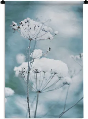 Produktbild von MuchoWow® Wandteppich Wandbehang Schnee - Blumen - Winter - Zweige 60x90 cm Tapisserie Dekoration Wandtuch - Foto-Teppich - Abwaschbar