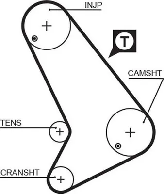 Immagine prodotto di Cintura dentata