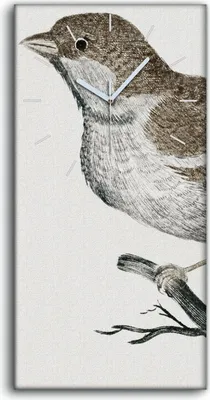 Produktbild von Küchenuhr Bürouhr Leinwand Uhr Quarz 30x60 Zeichnung Tier Vogel Zweig Kunst - weiße Hände