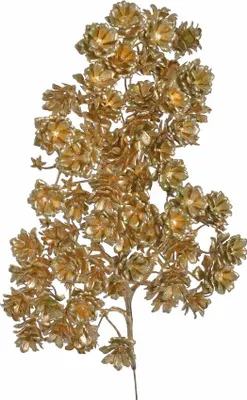Immagine prodotto di rametto con pigne, 36 cm, dorato |  B-022_41
