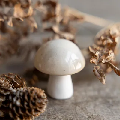 A ceramic mushroom figurine is placed on a textured surface, surrounded by dried leaves and pinecones.