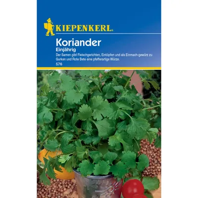 Produktbild von Kiepenkerl Koriandersamen, einjährig