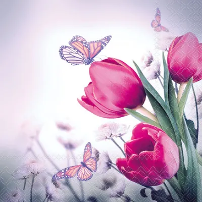 Produktbild von Serviette "Schmetterlinge & Tulpen"