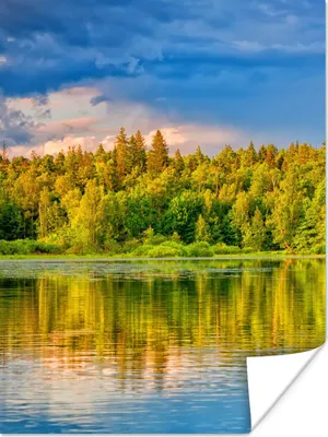 Produktbild von MuchoWow® Poster Wasser - Natur - Wald 120x160 cm - Wandbilder