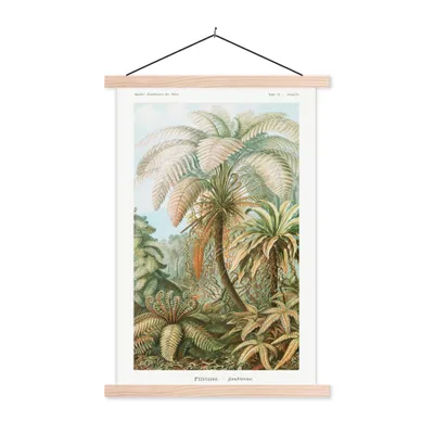 Produktbild von MuchoWow® Textilposter Vintage - Alte Meister - Farne - Pflanzen - Natur 120x180 cm mit holzfarbenen Rahmen - Textil-Plakat