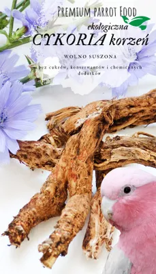 Produktbild von -Zichorienwurzel Für Papageien | Premium Futterzusatz 50G - Gesunde Ernährung