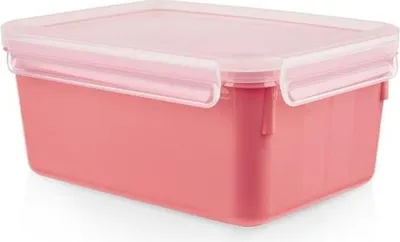 Zdjęcie produktu dla Tefal MasterSeal N10309, Pudełko, Prostokątny, Koralowy, Niemcy, 167 mm, 226 mm