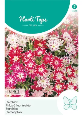 Artikelbild 2 von 'Sternenphlox Twinkle Mischung' aus der Kategorie Blumensamenmischung