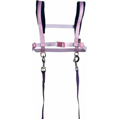 Image de HKM Sports Equipment GmbH Harnais -Funny Horses Hearts- rose/bleu foncé Autre