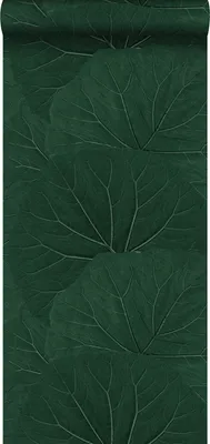 Immagine prodotto di Walls4You Carta da parati foglie tropicali verde scuro - 935306 - 0,53 x 10,05 m