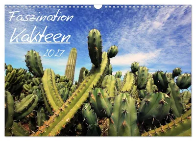 Produktbild von Faszination Kakteen (Wandkalender 2027 DIN A3 quer), CALVENDO Monatskalender