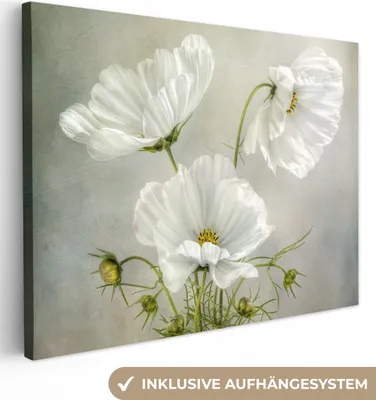 Produktbild von MuchoWow® - Leinwandbilder - Blumen - Stillleben - Mohn - Weiß - Botanisch, Wandbild, Wanddeko Bilder Wohnzimmer, 120x90 cm