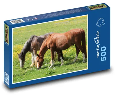 Obrázek produktu pro Puzzle 500 Koně na rozkvetlé louce - martinpuzzle