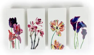 Immagine prodotto di Umidificatore, set da 4 pezzi in Vetroceramica, motivo "Fiori Rossi", design piatto per il fissaggio a termosifoni o radiatori, evaporatore, diffusore