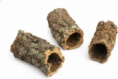 Productafbeelding van Kurkbuizen voor reptielen en knaagdieren - set van 3 - 15 tot 20 cm - natuurkurk - schuilplaats en decoratie