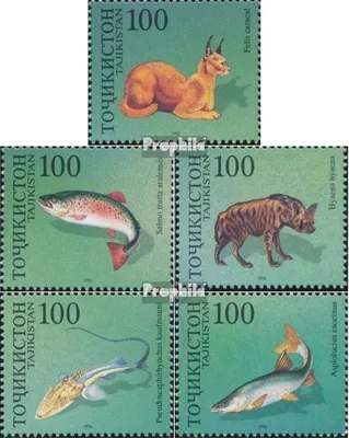 Produktbild von Briefmarken Tadschikistan 1996 Mi 89-93 (kompl.Ausg.) postfrisch Aralsee